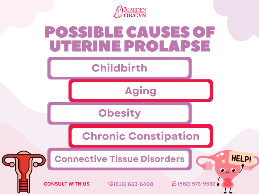 What Causes Uterine Prolapse?: Garden OBGYN: Obstetrics