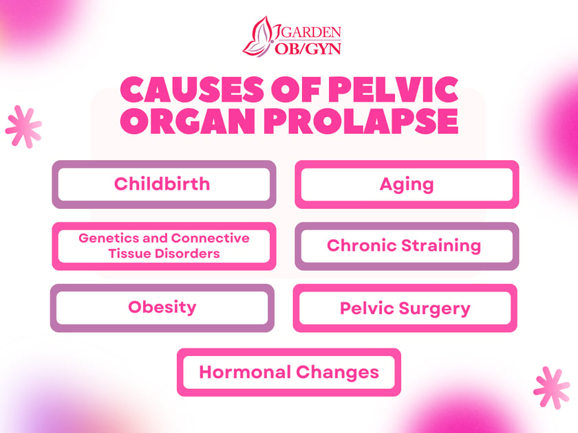 Causes of Pelvic Organ Prolapse: Garden OBGYN: Obstetrics