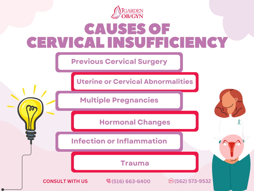 What are the Causes of Cervical Insufficiency?: Garden OBGYN: Obstetrics