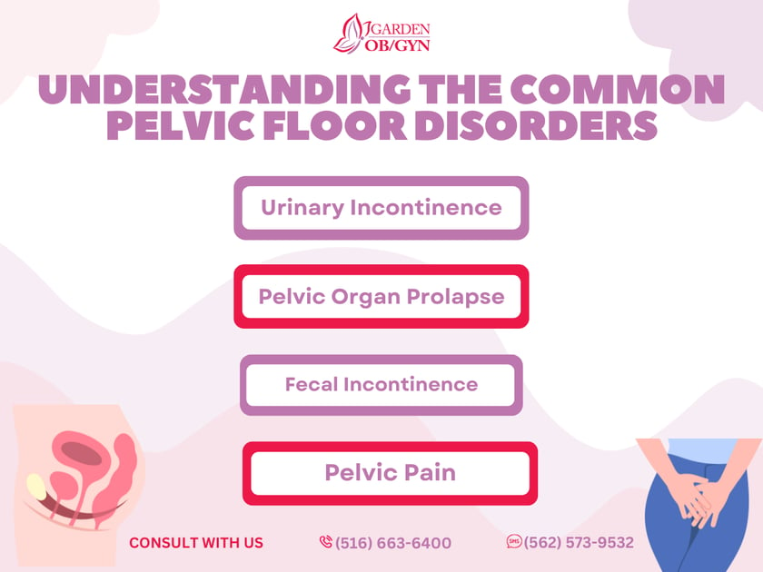 Understanding the Common Pelvic Floor Disorders: Garden OBGYN: Obstetrics