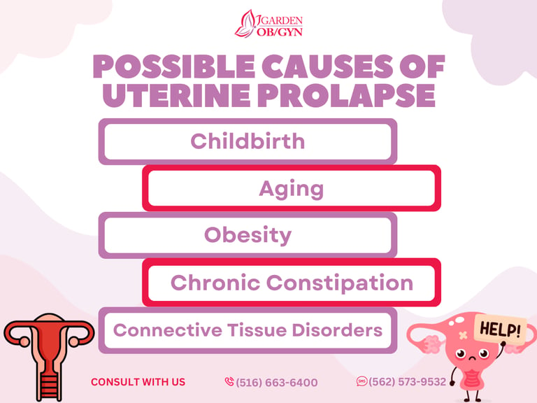 What Causes Uterine Prolapse?