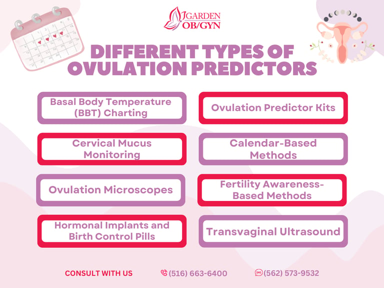 Comprehensive Guide on Various Ovulation Predictors